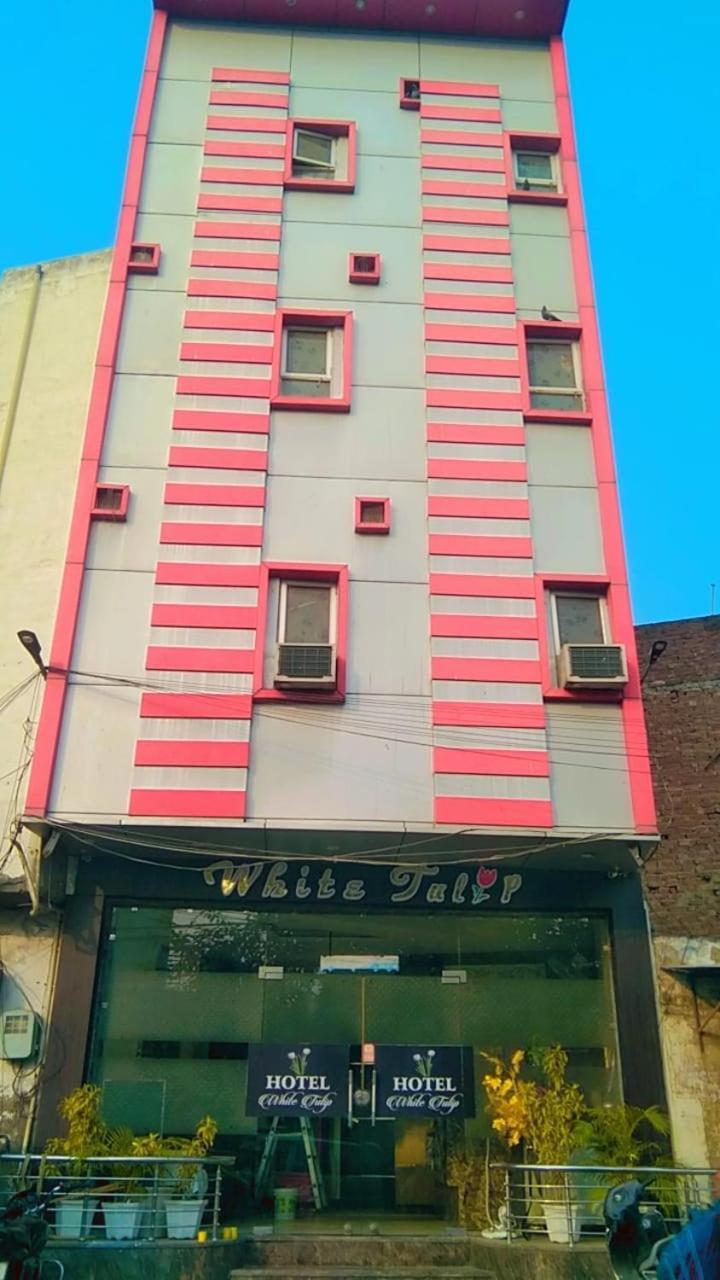 Hotel White Tulip Amritsar Exteriér fotografie